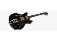 Sire Larry Carlton H7T Black Sire Larry Carlton H7T Black
